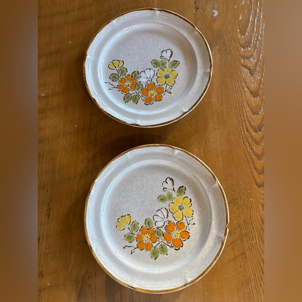 Set of 2 Spring Baroque Plates